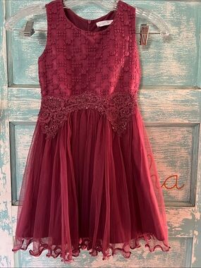 Girls' Burgundy plum mauve pink Lace & Tulle Party Dress EUC modern color